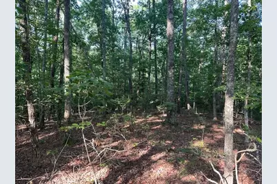 Lot 208 Boulder Creek Road, Murphy, NC 28906 - Photo 2