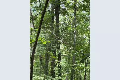 0 Ten Pointe Trail, Murphy, NC 28906 - Photo 2