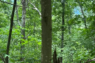 0 Ten Pointe Trail, Murphy, NC 28906 - Photo 1