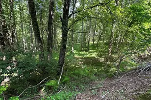 00 Choctaw Ridge Trail, Murphy, NC 28906 - Photo 1