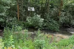 7656 Little Snowbird Rd, Robbinsville, NC 28771 - Photo 1