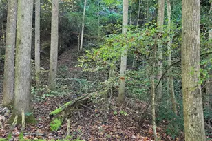 0 Lords Way, Andrews, NC 28901 - Photo 1