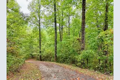 Lot 1 Skyview Drive, Hayesville, NC 28904 - Photo 1