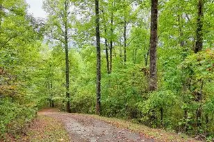 Lot 1 Skyview Dr, Hayesville, NC 28904 - Photo 1