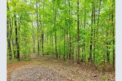 Lot 1 Skyview Drive, Hayesville, NC 28904 - Photo 4