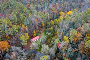 139 I U Gap Rd, Robbinsville, NC 28771 - Photo 2