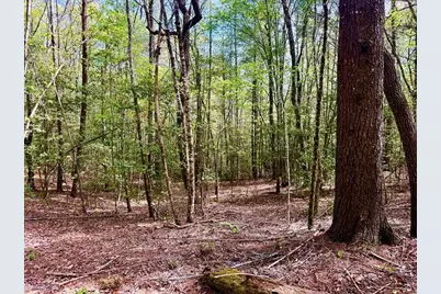 2.07 Ac Rainy Farm Road, Murphy, NC 28906 - Photo 2