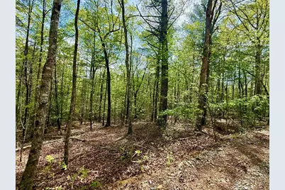 2.07 Ac Rainy Farm Road, Murphy, NC 28906 - Photo 8