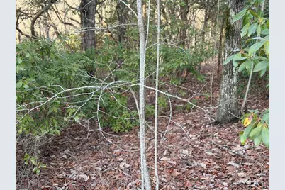 Lot #118 Royal View Landing, Murphy, NC 28906 - Photo 2