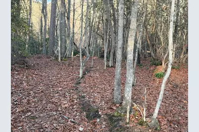 Lot #118 Royal View Landing, Murphy, NC 28906 - Photo 6