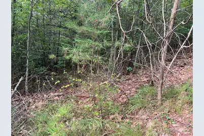 Lot 72 Foxtrot Lane, Murphy, NC 28906 - Photo 6