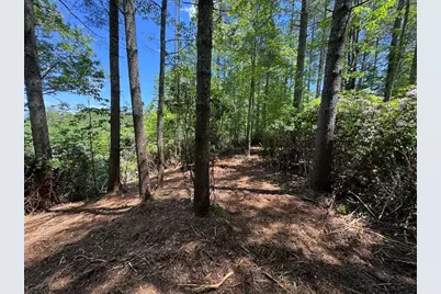 79 Forrest Edge Drive, Murphy, NC 28906 - Photo 6