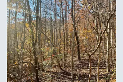 Lot 41C Ash Branch Circle, Hayesville, NC 28904 - Photo 2
