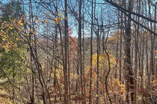 Lot 41C Ash Branch Circle, Hayesville, NC 28904 - Photo 1