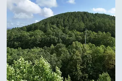 Lot 100 Valley Crest Drive, Blairsville, GA 30512 - Photo 38