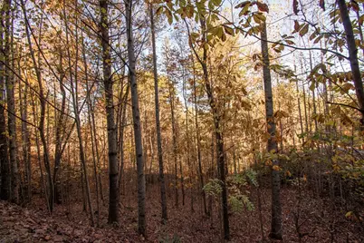 66 Choctaw Ridge Trail, Murphy, NC 28906 - Photo 4