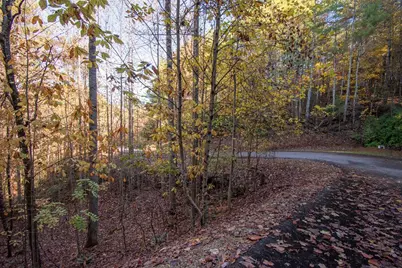 66 Choctaw Ridge Trail, Murphy, NC 28906 - Photo 1