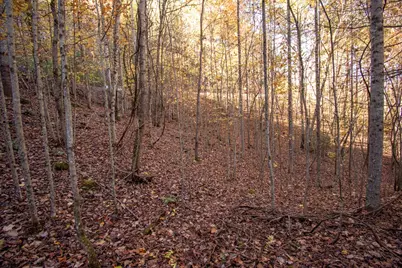 66 Choctaw Ridge Trail, Murphy, NC 28906 - Photo 6