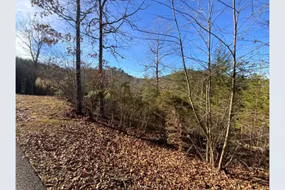00 Brasstown View, Murphy, NC 28906 - Photo 4