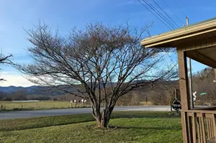 2617 Stewart Rd, Andrews, NC 28901 - Photo 4
