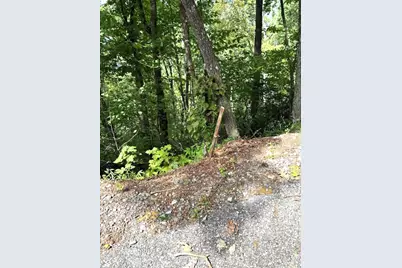 Lot 19 Buckhead, Hiawassee, GA 30546 - Photo 20