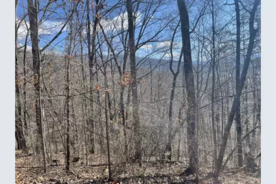 Lot 37C Ash Branch Circle, Hayesville, NC 28904 - Photo 1