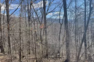 Lot 37C Ash Branch Circle, Hayesville, NC 28904 - Photo 1