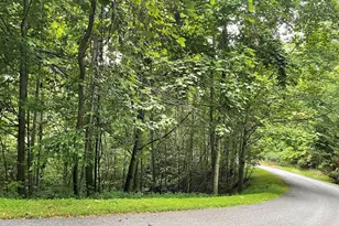 Lot 32J Mountain Harbour, Hayesville, NC 28904 - Photo 1