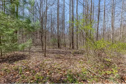 Lots 12+ Tusquittee Crossing, Hayesville, NC 28904 - Photo 8