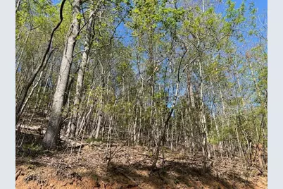 Lot 2B Grandview Drive, Hayesville, NC 28904 - Photo 12