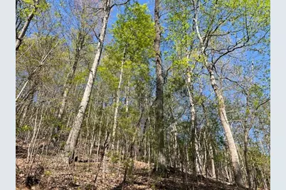 Lot 2B Grandview Drive, Hayesville, NC 28904 - Photo 14