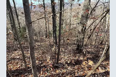 Lots Ash Branch View, Hayesville, NC 28904 - Photo 4