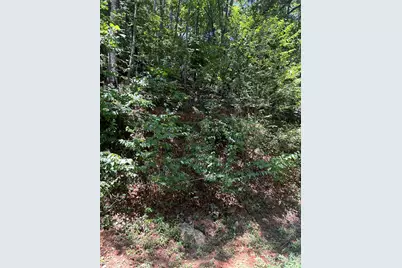 0 Skyview Acres Drive, Murphy, NC 28906 - Photo 2
