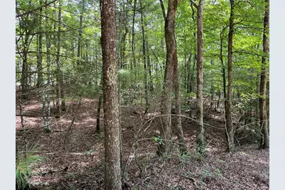 0 Sheep Knob, Murphy, NC 28906 - Photo 12