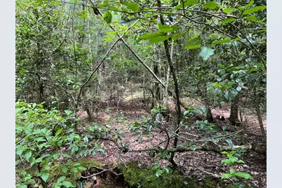0 Sheep Knob, Murphy, NC 28906 - Photo 14