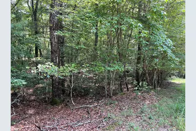 0 Sheep Knob, Murphy, NC 28906 - Photo 4