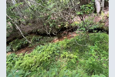 0 Sheep Knob, Murphy, NC 28906 - Photo 16