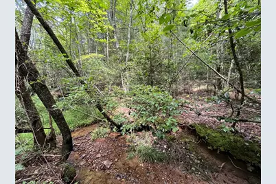 0 Sheep Knob, Murphy, NC 28906 - Photo 2