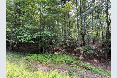 0 Sheep Knob, Murphy, NC 28906 - Photo 6
