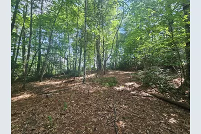 Lot C Nottley Ridge, Murphy, NC 28906 - Photo 4