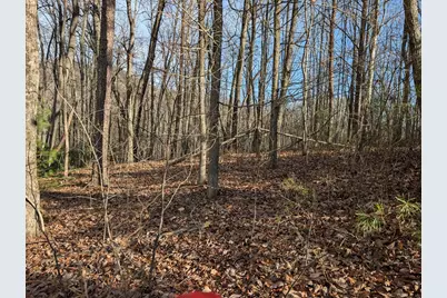Lot 20 Wilderness Creek Way, Murphy, NC 28906 - Photo 14