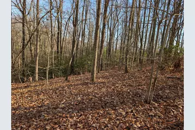 Lot 20 Wilderness Creek Way, Murphy, NC 28906 - Photo 2
