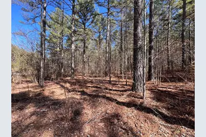 Lot 50 Deyton Drive, Blairsville, GA 30512 - Photo 2
