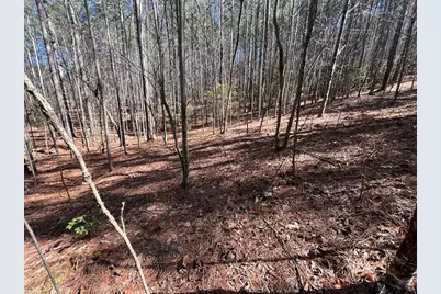 Lot 50 Deyton Drive, Blairsville, GA 30512 - Photo 16