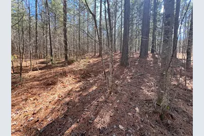 Lot 50 Deyton Drive, Blairsville, GA 30512 - Photo 14