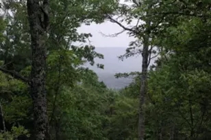 19D&e Braves Landing, Murphy, NC 28906 - Photo 1