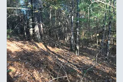19D&e Braves Landing, Murphy, NC 28906 - Photo 2