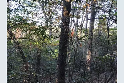 19D&e Braves Landing, Murphy, NC 28906 - Photo 4
