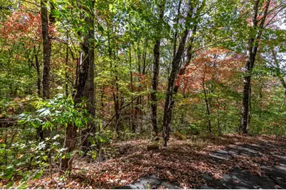 Lot 38 Skyview At Wildlife Acres, Hayesville, NC 28904 - Photo 8