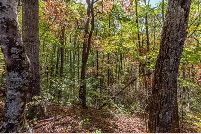 Lot 38 Skyview At Wildlife Acres, Hayesville, NC 28904 - Photo 14